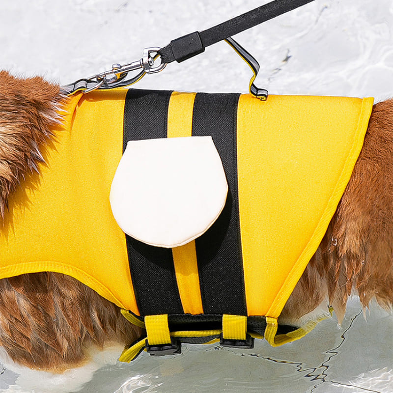 Dog Swimming Life Jacket Bee 