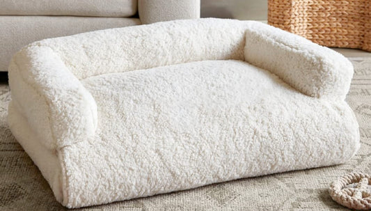 Best Dog Beds To Match Your Home