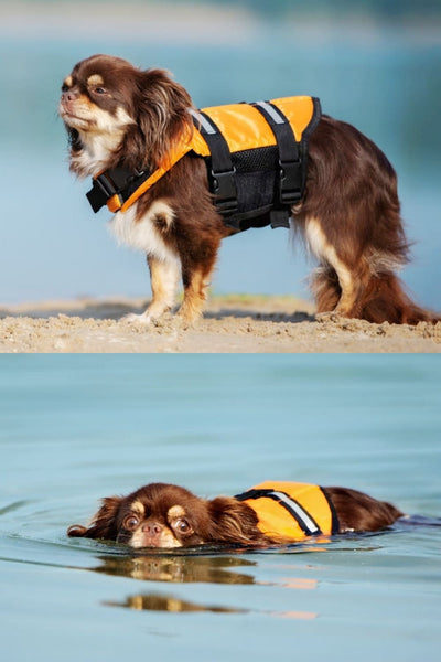 Small Dog Life Jacket