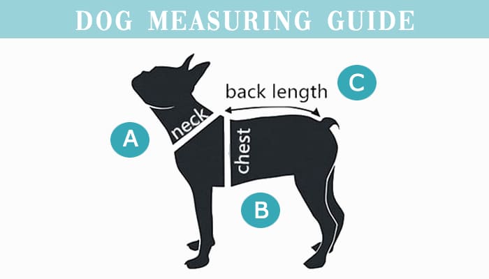 Dog Clothing Sizing Chart