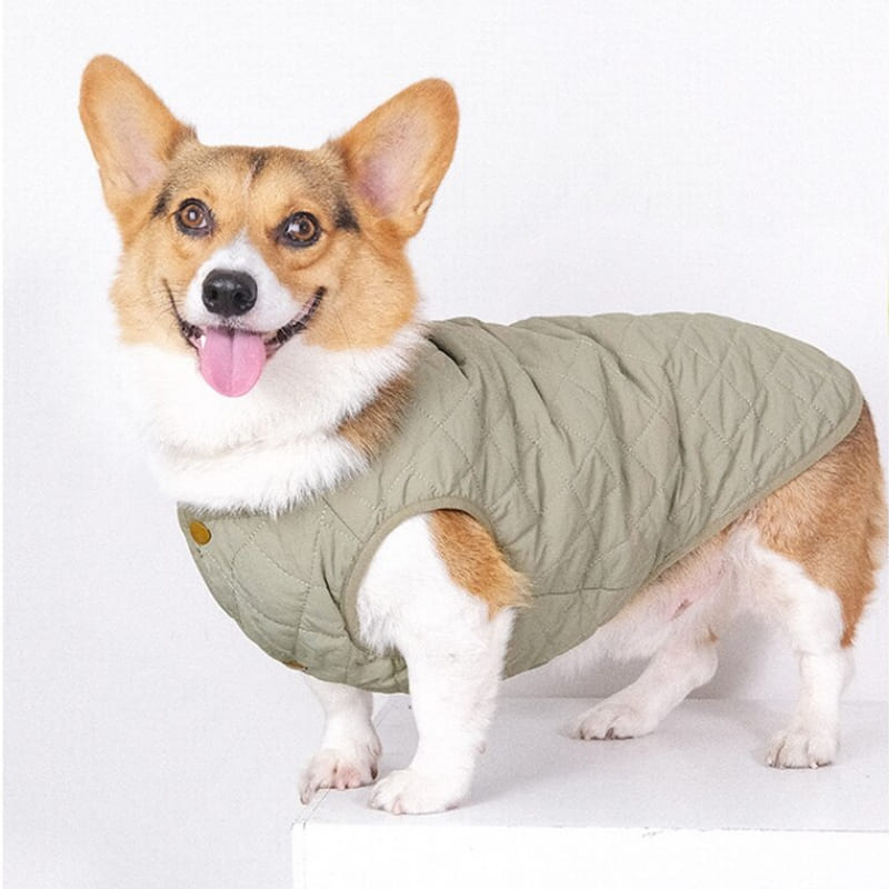 Dog Puffer Jacket