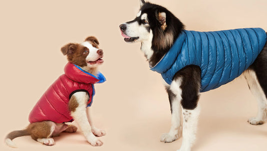 Dog Puffer Jackets Winter 2022