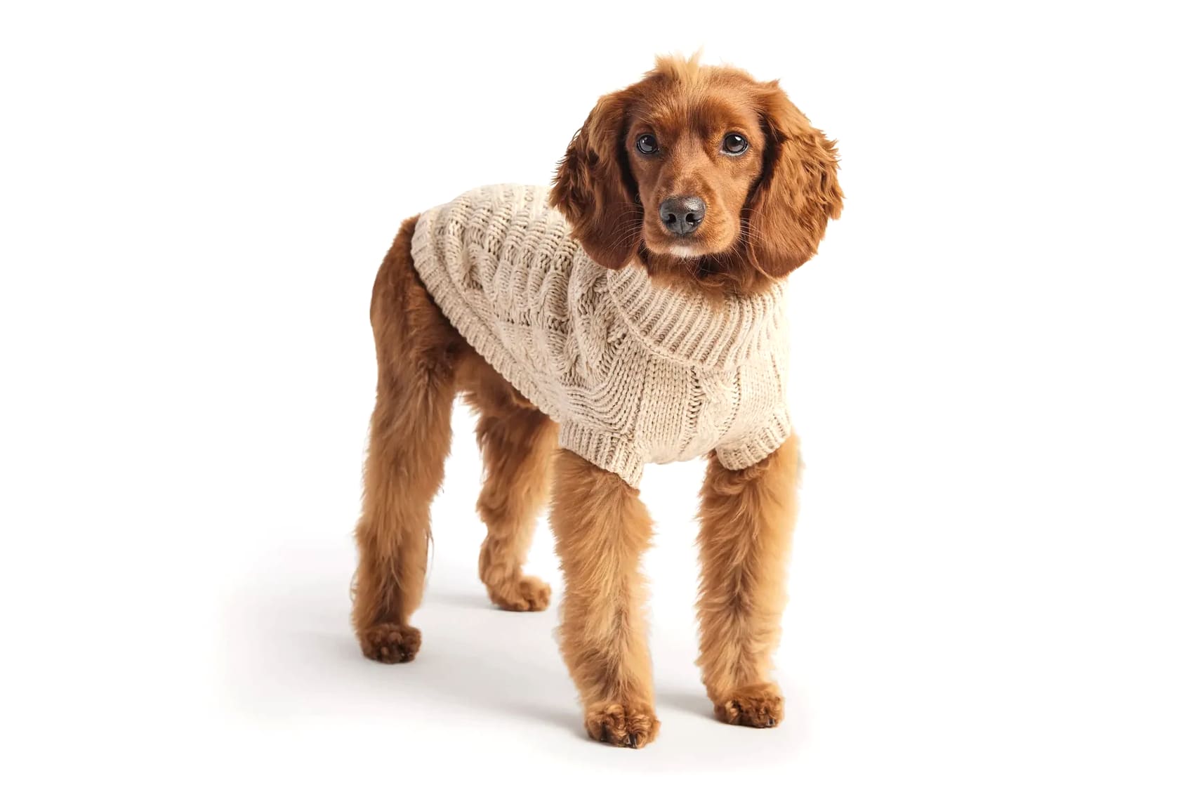 How To Make A Dog Sweater