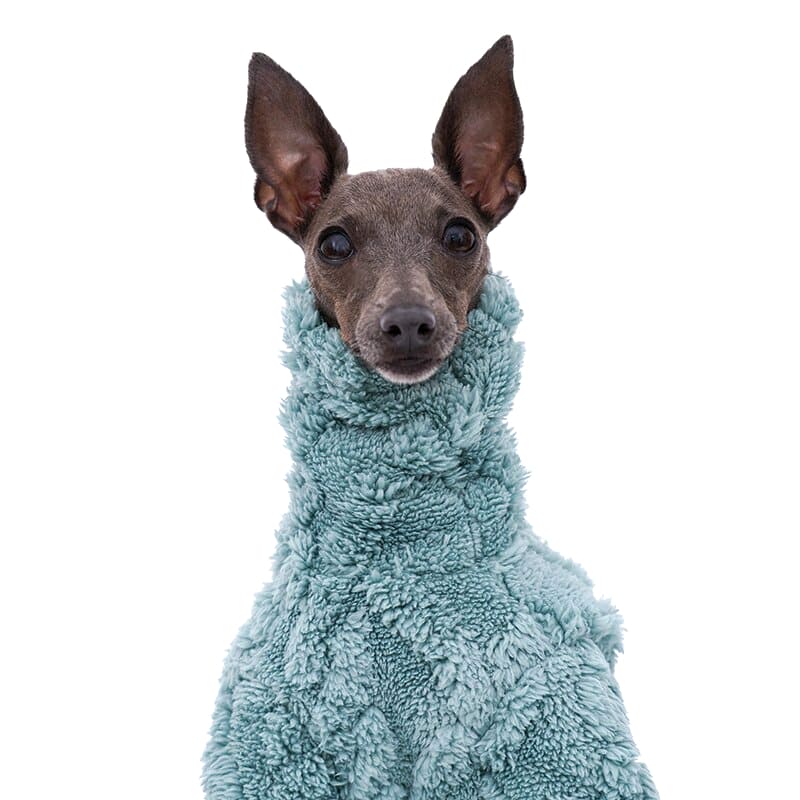 Fleece Dog Coats