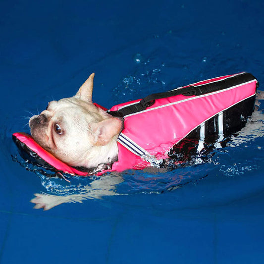 Dog Life Jacket Neck Float