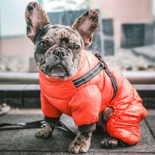 Dog Coat Snowsuit